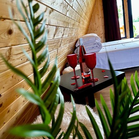 A-Frame Bucovina- Paradis BucovineanCapu Cîmpului エクステリア 写真