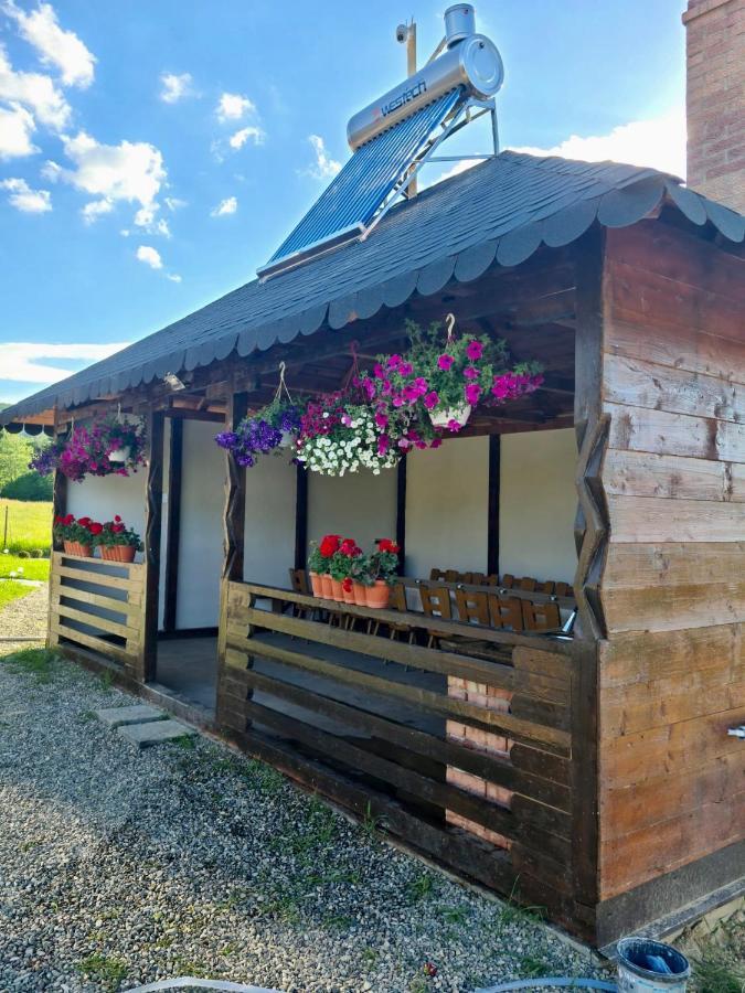 A-Frame Bucovina- Paradis BucovineanCapu Cîmpului エクステリア 写真