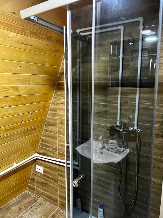 A-Frame Bucovina- Paradis BucovineanCapu Cîmpului エクステリア 写真