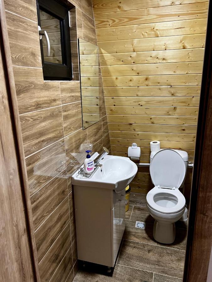 A-Frame Bucovina- Paradis BucovineanCapu Cîmpului エクステリア 写真