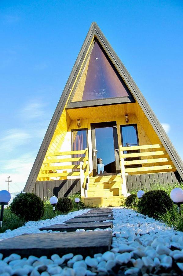 A-Frame Bucovina- Paradis BucovineanCapu Cîmpului エクステリア 写真