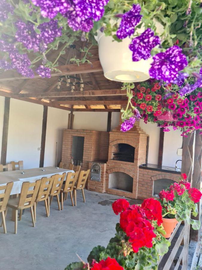 A-Frame Bucovina- Paradis BucovineanCapu Cîmpului エクステリア 写真