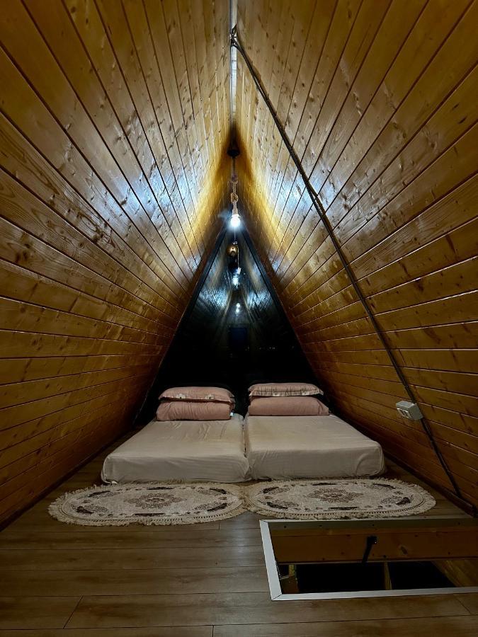 A-Frame Bucovina- Paradis BucovineanCapu Cîmpului エクステリア 写真