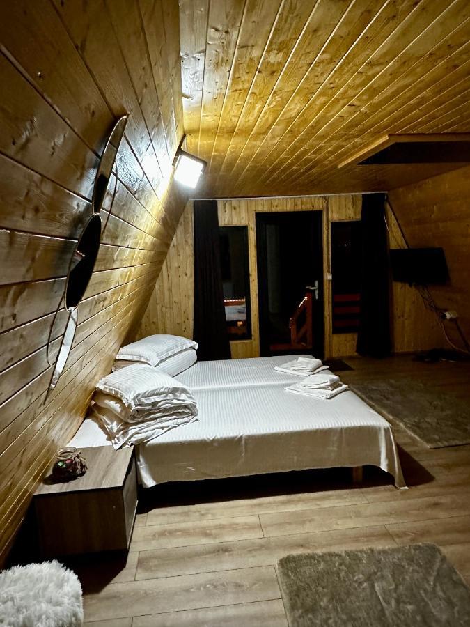 A-Frame Bucovina- Paradis BucovineanCapu Cîmpului エクステリア 写真