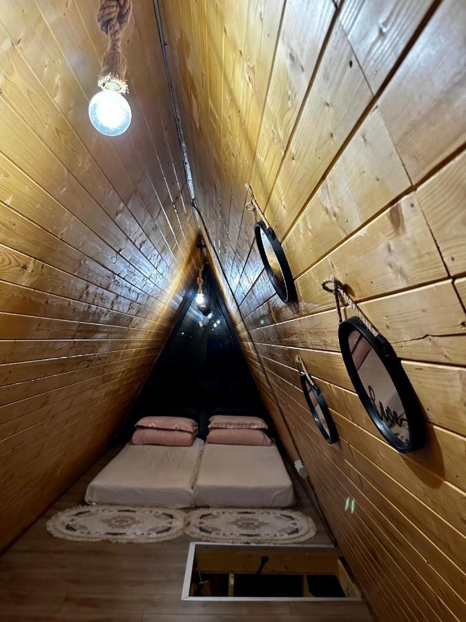 A-Frame Bucovina- Paradis BucovineanCapu Cîmpului エクステリア 写真