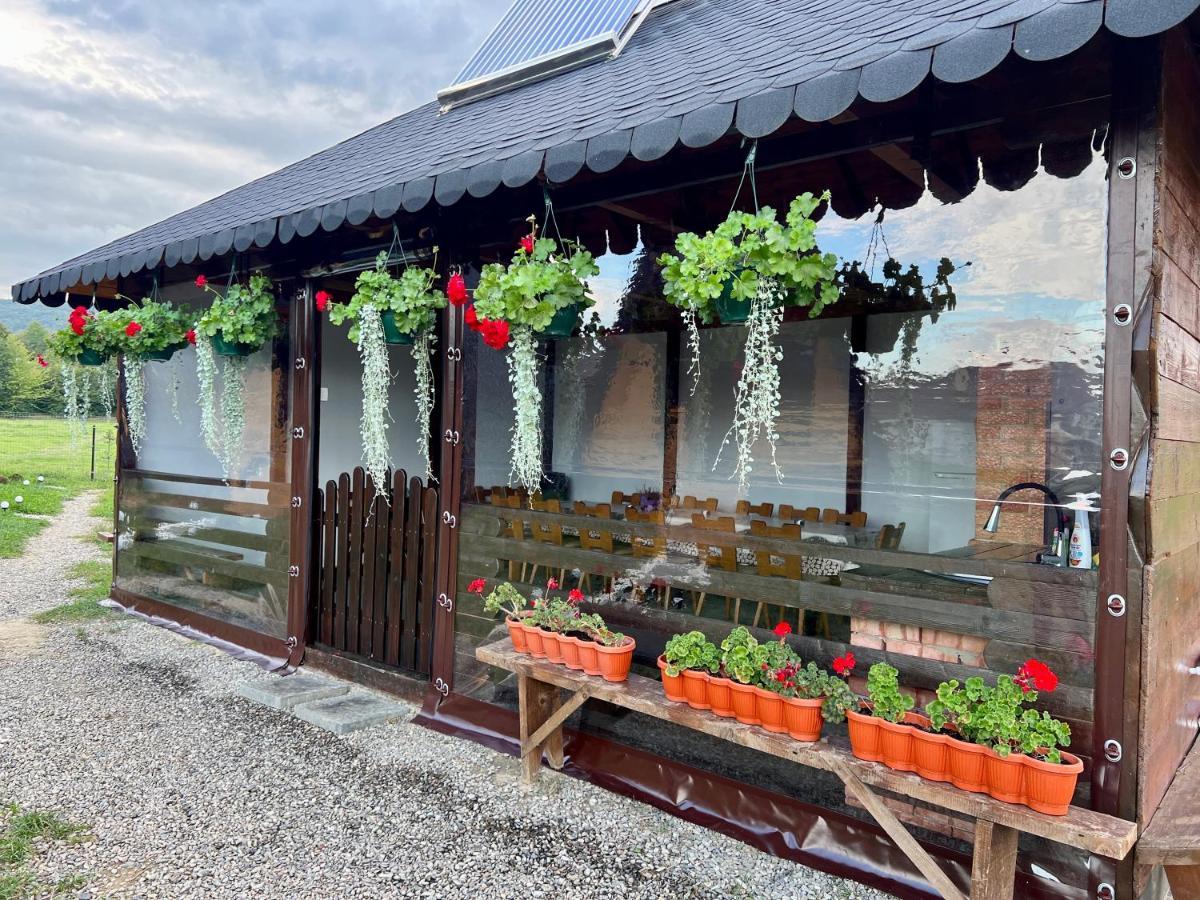 A-Frame Bucovina- Paradis BucovineanCapu Cîmpului エクステリア 写真
