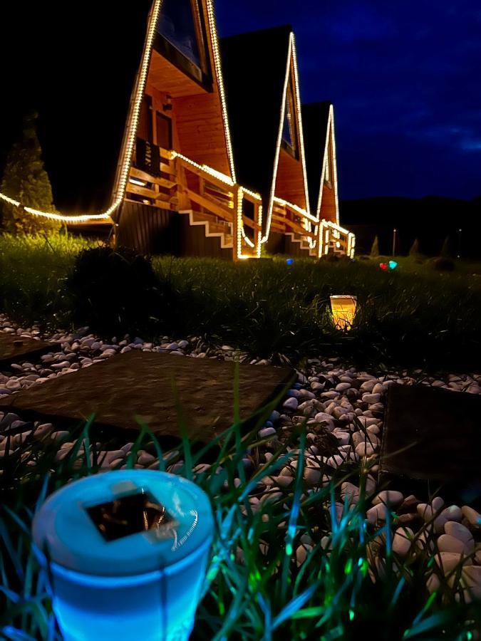 A-Frame Bucovina- Paradis BucovineanCapu Cîmpului エクステリア 写真