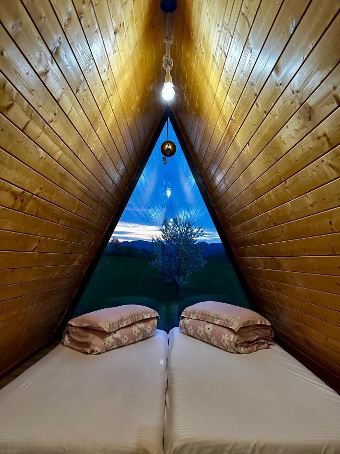 A-Frame Bucovina- Paradis BucovineanCapu Cîmpului エクステリア 写真