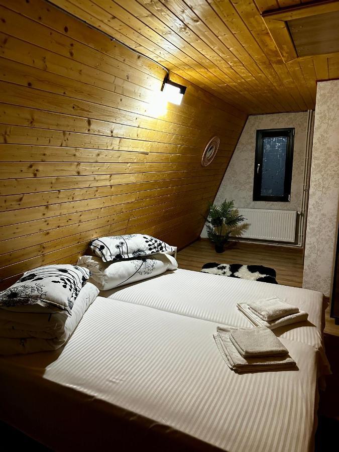 A-Frame Bucovina- Paradis BucovineanCapu Cîmpului エクステリア 写真