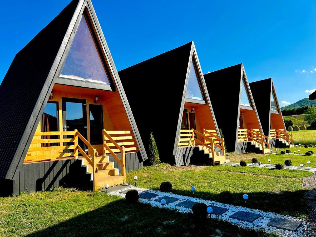 A-Frame Bucovina- Paradis BucovineanCapu Cîmpului エクステリア 写真