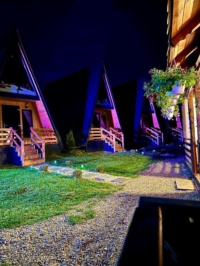 A-Frame Bucovina- Paradis BucovineanCapu Cîmpului エクステリア 写真