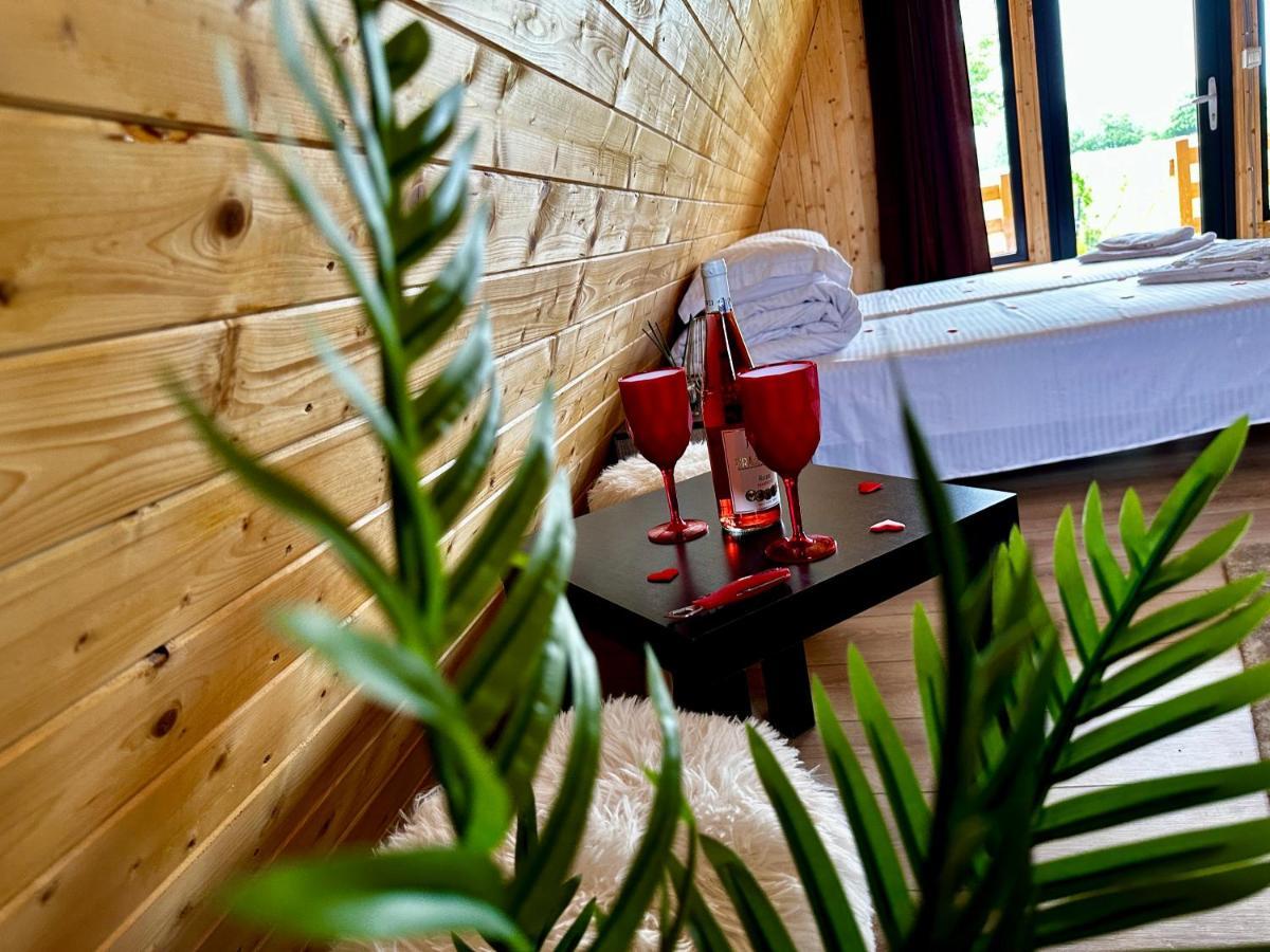 A-Frame Bucovina- Paradis BucovineanCapu Cîmpului エクステリア 写真