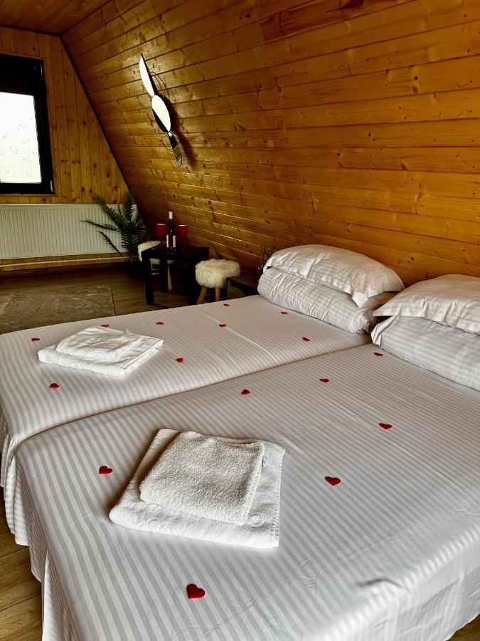 A-Frame Bucovina- Paradis BucovineanCapu Cîmpului エクステリア 写真