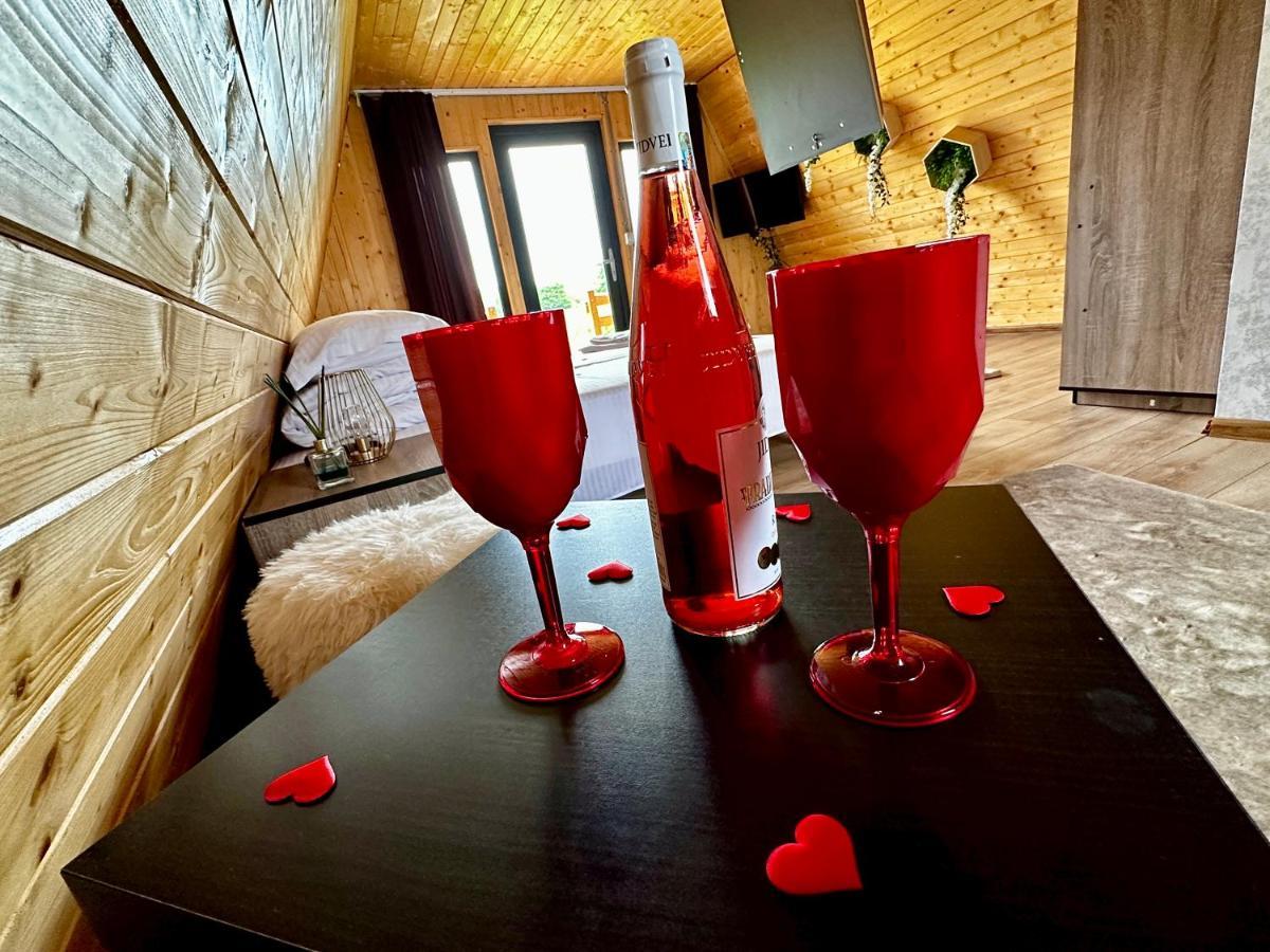 A-Frame Bucovina- Paradis BucovineanCapu Cîmpului エクステリア 写真