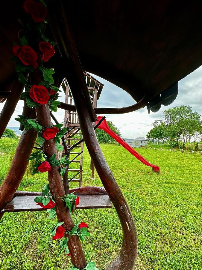 A-Frame Bucovina- Paradis BucovineanCapu Cîmpului エクステリア 写真