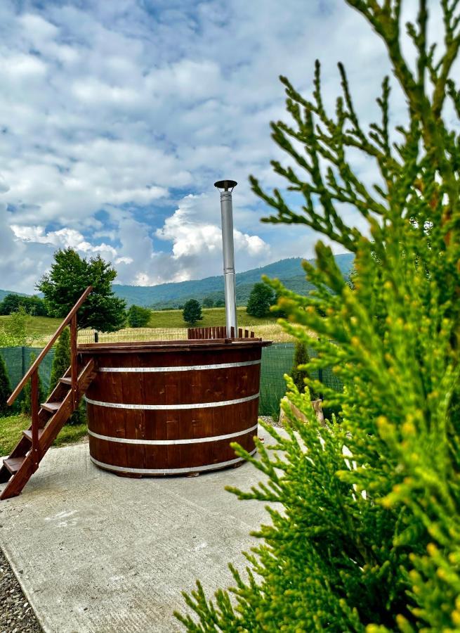 A-Frame Bucovina- Paradis BucovineanCapu Cîmpului エクステリア 写真